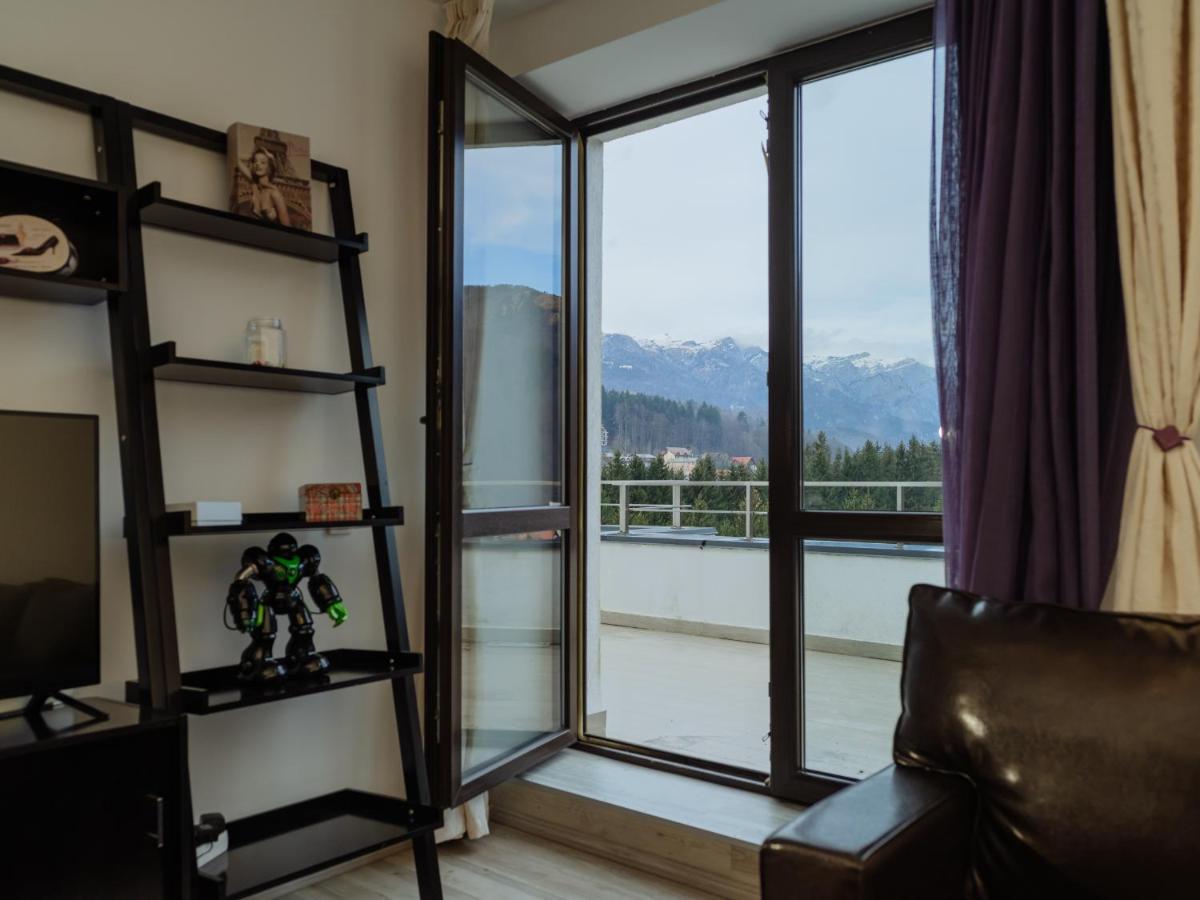 Appartement Panoramic Loft Colina Marei à Sinaia Extérieur photo
