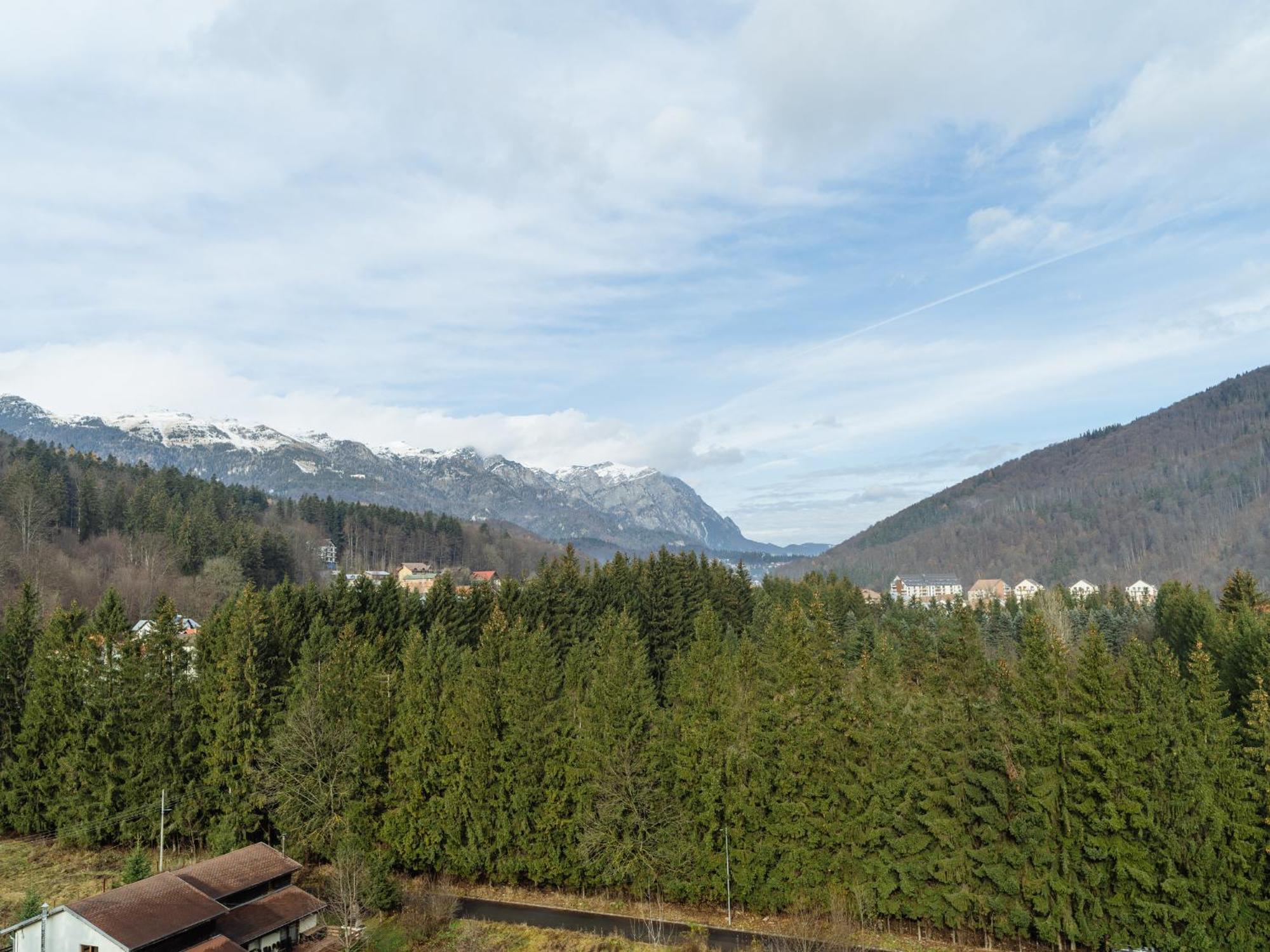 Appartement Panoramic Loft Colina Marei à Sinaia Extérieur photo